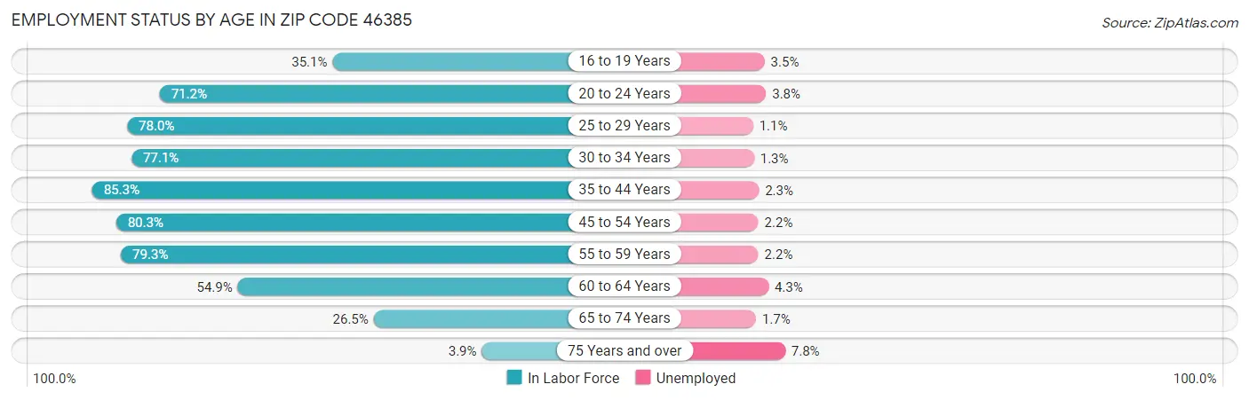 Employment Status by Age in Zip Code 46385