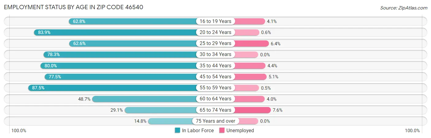 Employment Status by Age in Zip Code 46540