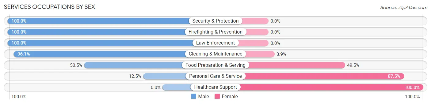 Services Occupations by Sex in Zip Code 46552
