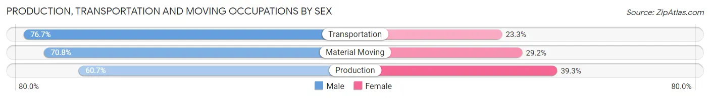 Production, Transportation and Moving Occupations by Sex in Zip Code 46570