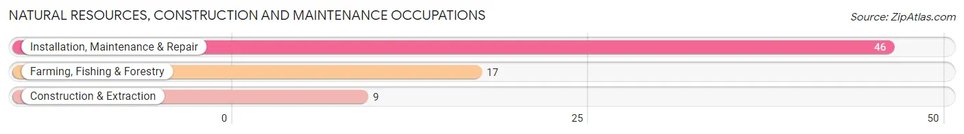 Natural Resources, Construction and Maintenance Occupations in Zip Code 46760