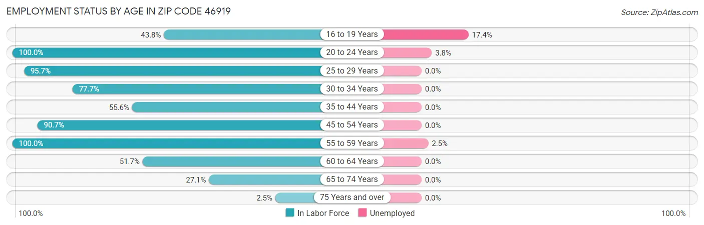 Employment Status by Age in Zip Code 46919