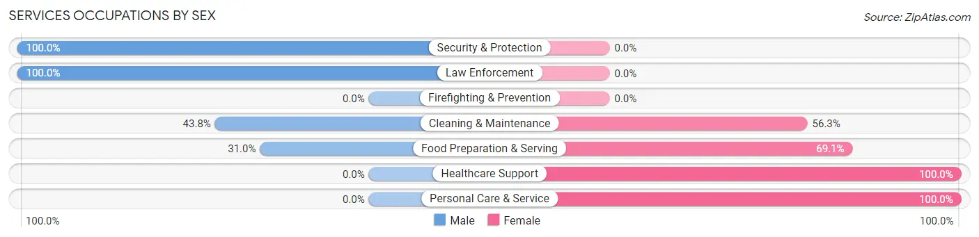 Services Occupations by Sex in Zip Code 46932