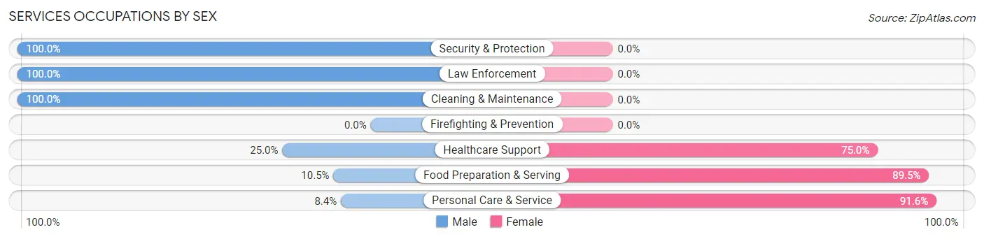 Services Occupations by Sex in Zip Code 46939