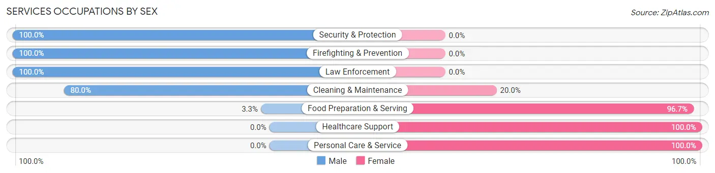 Services Occupations by Sex in Zip Code 46940