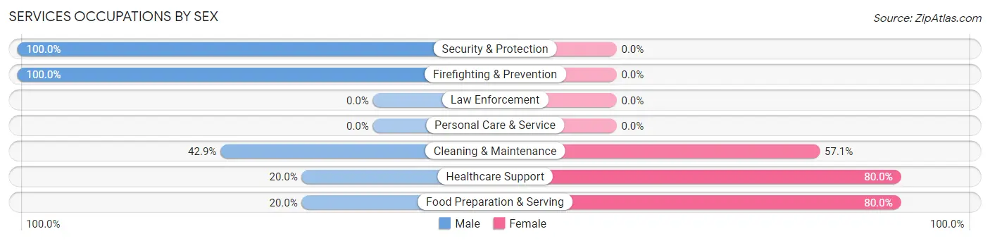 Services Occupations by Sex in Zip Code 46941