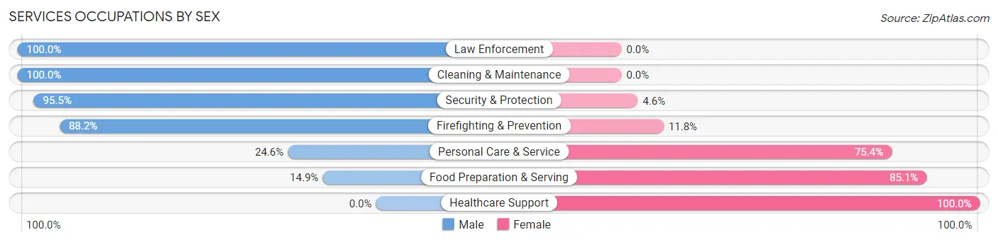 Services Occupations by Sex in Zip Code 46979