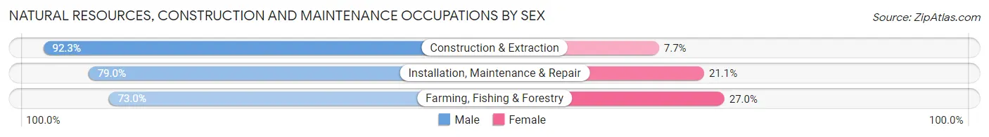 Natural Resources, Construction and Maintenance Occupations by Sex in Zip Code 47220