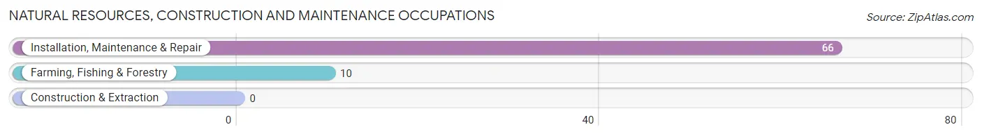 Natural Resources, Construction and Maintenance Occupations in Zip Code 47406