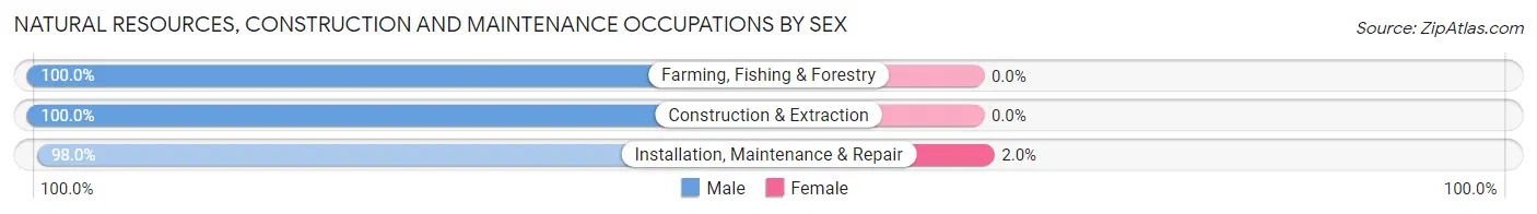 Natural Resources, Construction and Maintenance Occupations by Sex in Zip Code 47424