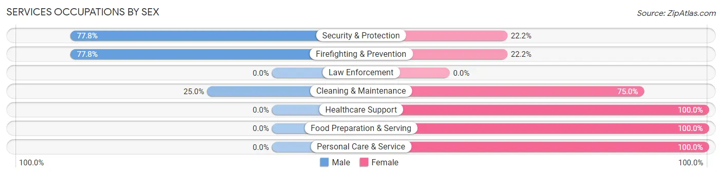 Services Occupations by Sex in Zip Code 47613