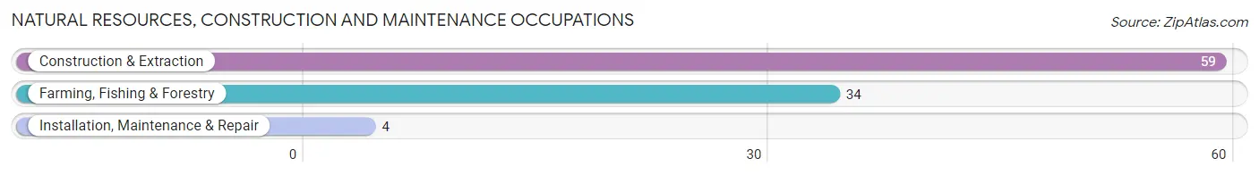 Natural Resources, Construction and Maintenance Occupations in Zip Code 47713