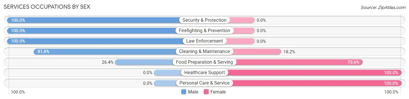 Services Occupations by Sex in Zip Code 47944