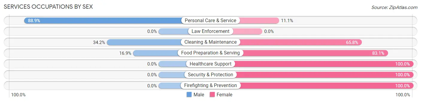 Services Occupations by Sex in Zip Code 47963