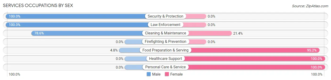 Services Occupations by Sex in Zip Code 47965