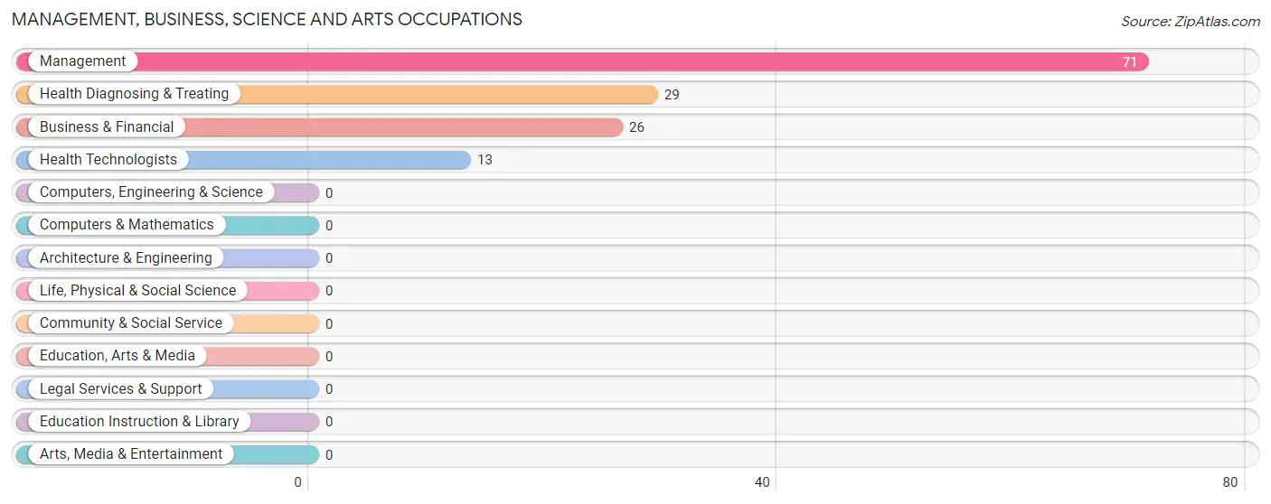 Management, Business, Science and Arts Occupations in Zip Code 47981