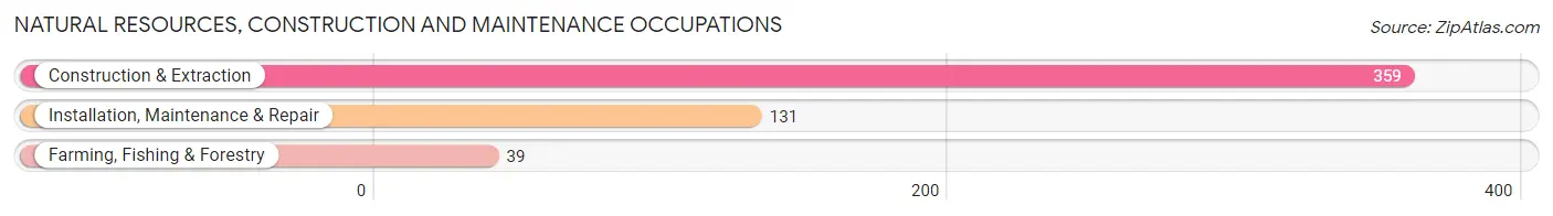 Natural Resources, Construction and Maintenance Occupations in Zip Code 48033