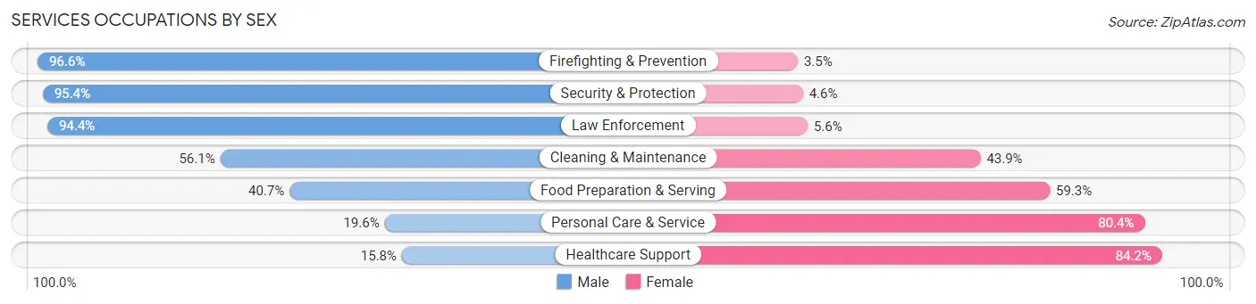 Services Occupations by Sex in Zip Code 48060