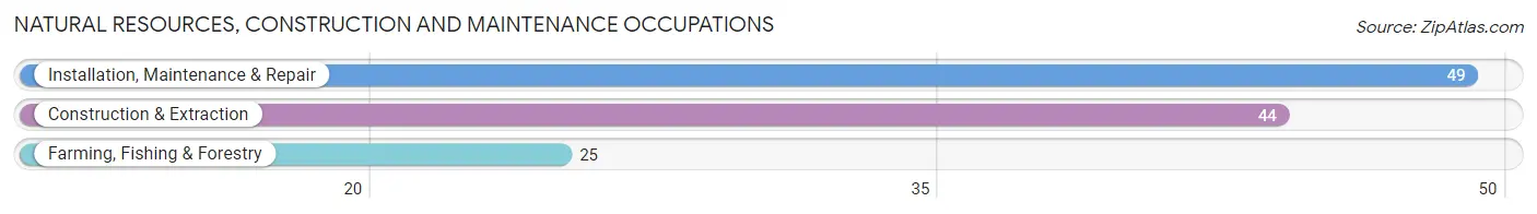 Natural Resources, Construction and Maintenance Occupations in Zip Code 48070