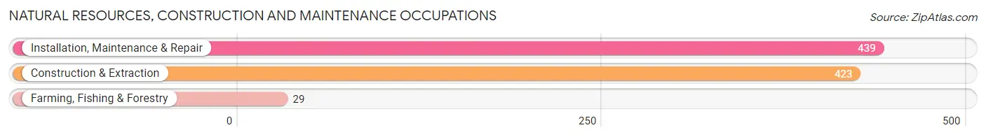 Natural Resources, Construction and Maintenance Occupations in Zip Code 48093