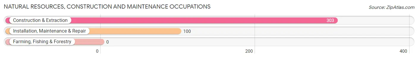 Natural Resources, Construction and Maintenance Occupations in Zip Code 48122