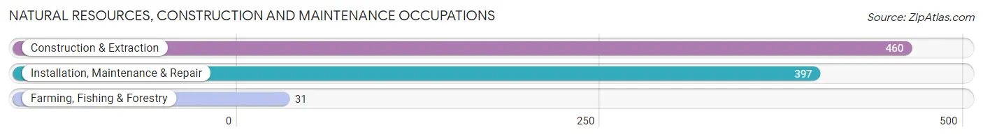 Natural Resources, Construction and Maintenance Occupations in Zip Code 48124