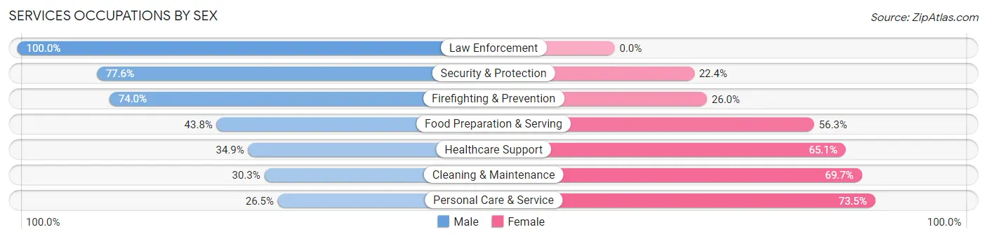 Services Occupations by Sex in Zip Code 48168
