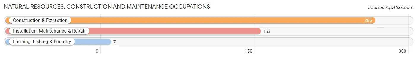 Natural Resources, Construction and Maintenance Occupations in Zip Code 48220