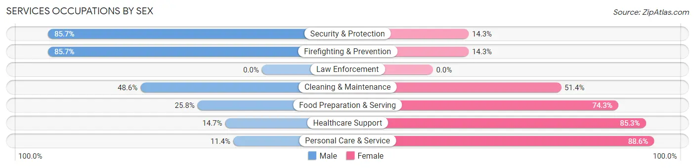 Services Occupations by Sex in Zip Code 48234