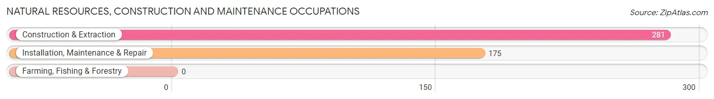 Natural Resources, Construction and Maintenance Occupations in Zip Code 48238