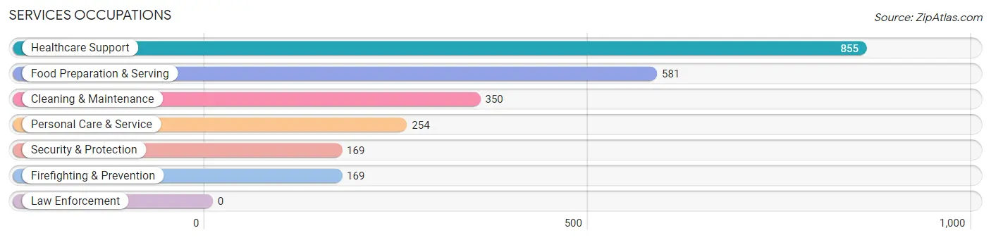 Services Occupations in Zip Code 48238