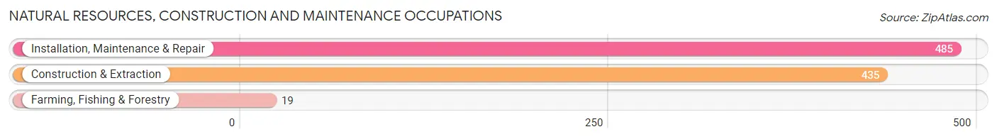 Natural Resources, Construction and Maintenance Occupations in Zip Code 48313