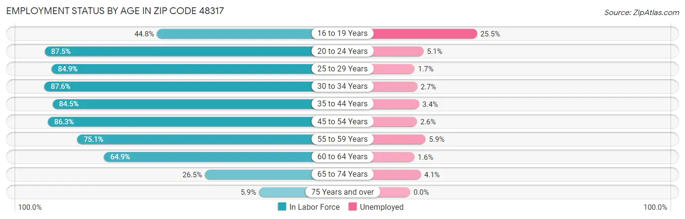 Employment Status by Age in Zip Code 48317