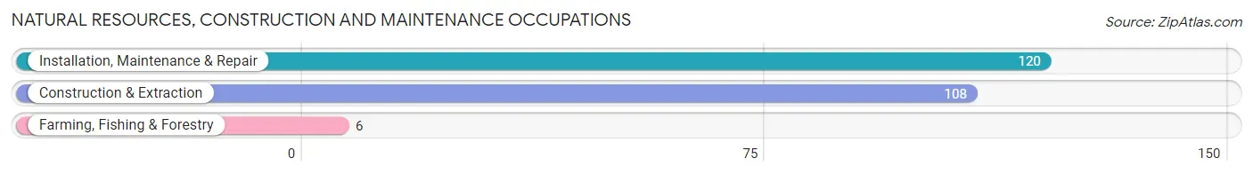 Natural Resources, Construction and Maintenance Occupations in Zip Code 48331