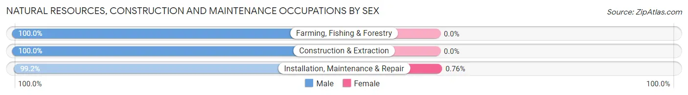 Natural Resources, Construction and Maintenance Occupations by Sex in Zip Code 48418
