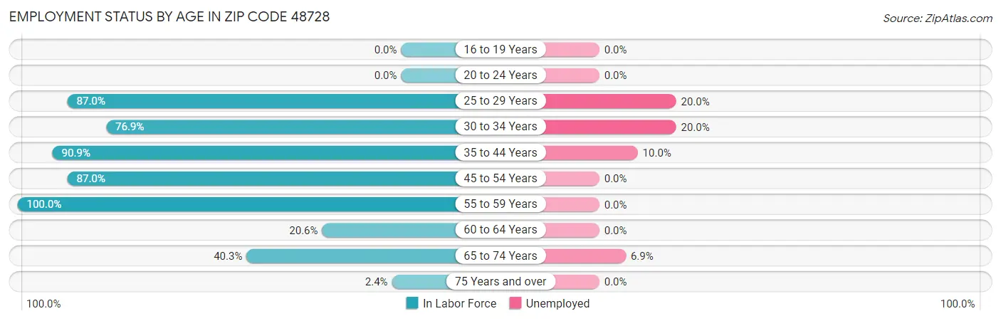 Employment Status by Age in Zip Code 48728