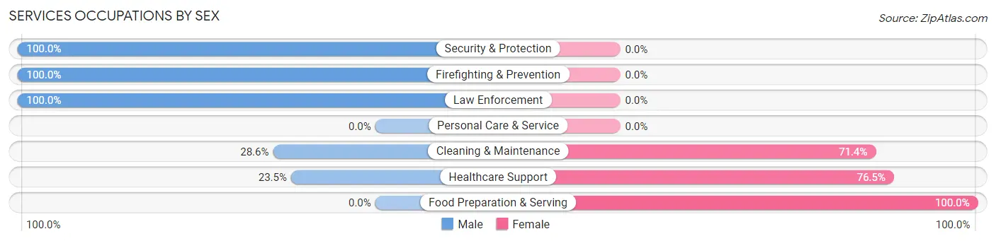 Services Occupations by Sex in Zip Code 48745