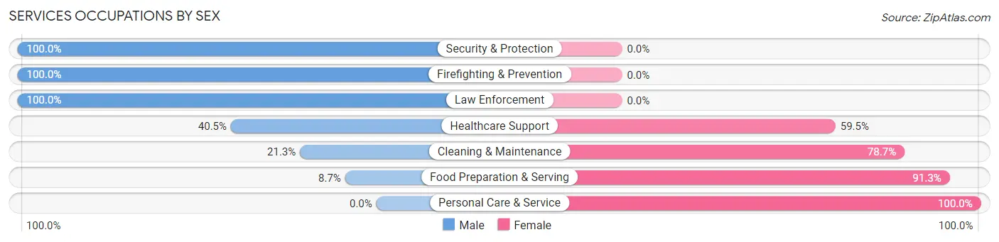 Services Occupations by Sex in Zip Code 48806
