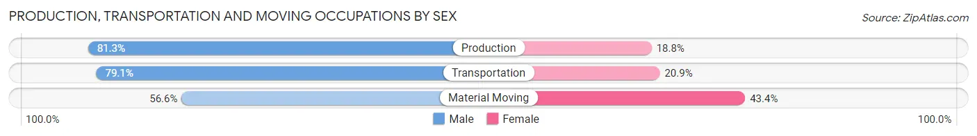Production, Transportation and Moving Occupations by Sex in Zip Code 48848
