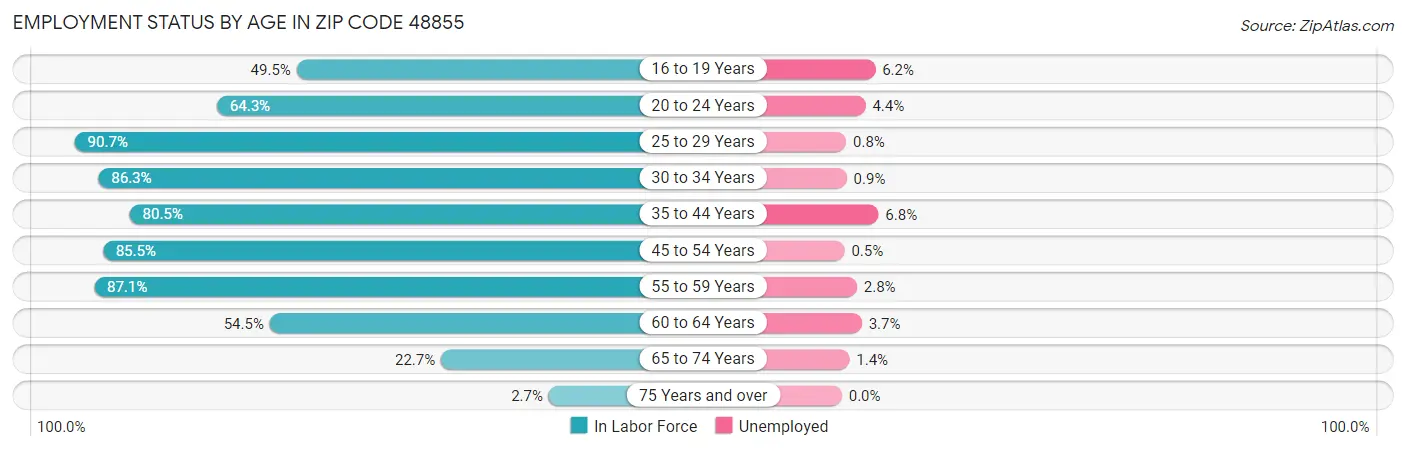 Employment Status by Age in Zip Code 48855