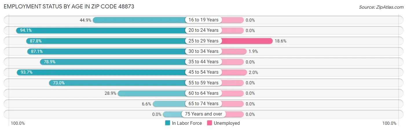 Employment Status by Age in Zip Code 48873