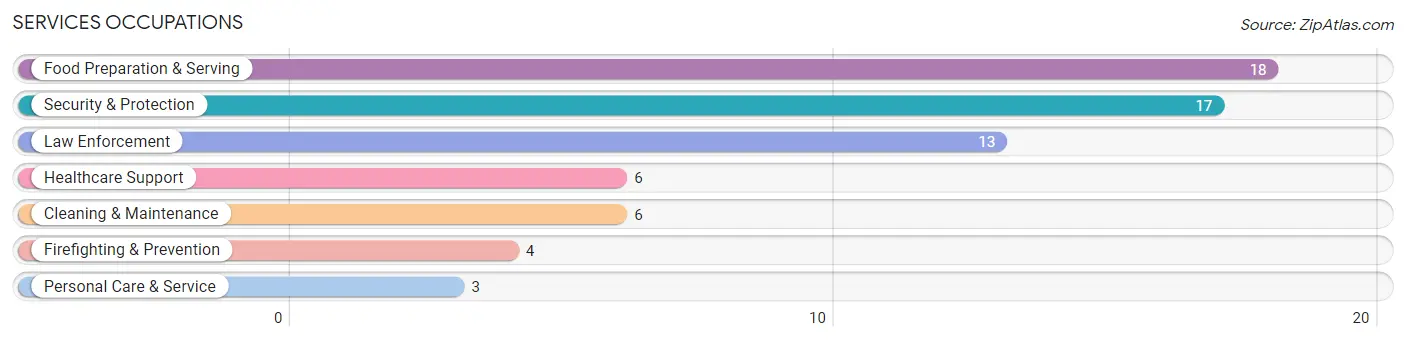 Services Occupations in Zip Code 48873