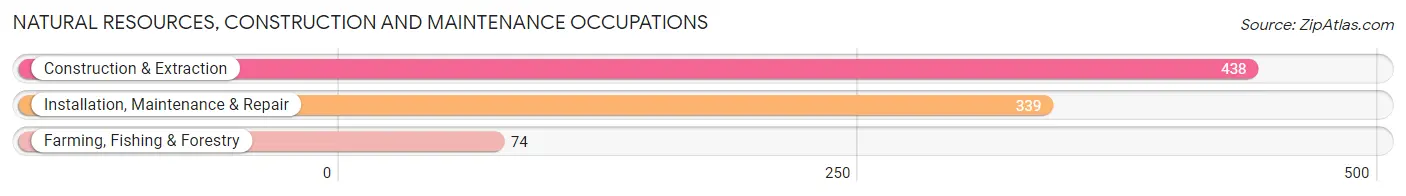 Natural Resources, Construction and Maintenance Occupations in Zip Code 49017