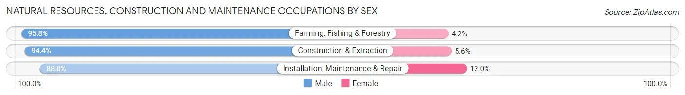 Natural Resources, Construction and Maintenance Occupations by Sex in Zip Code 49036