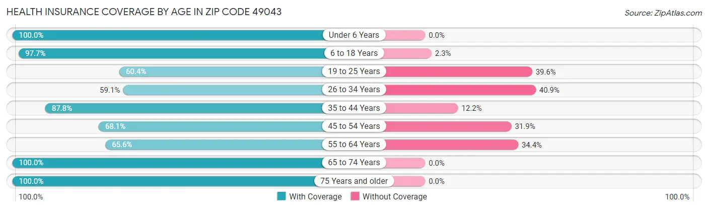 Health Insurance Coverage by Age in Zip Code 49043