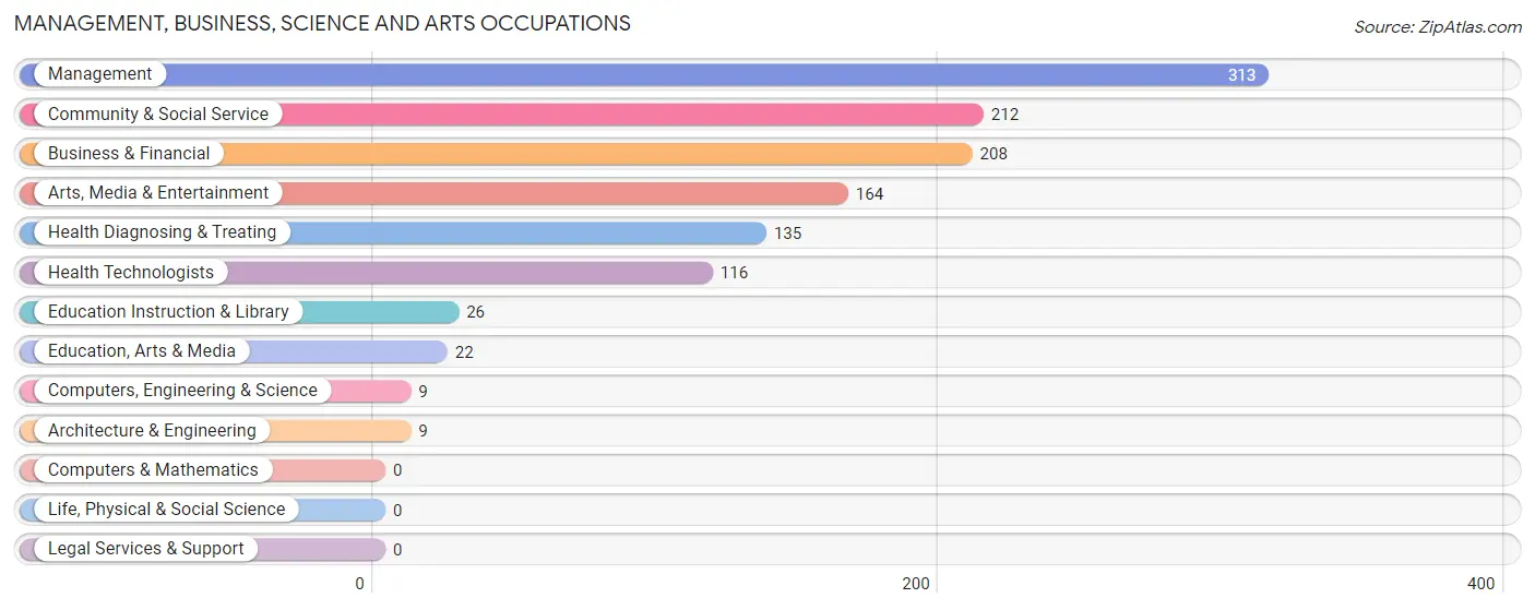 Management, Business, Science and Arts Occupations in Zip Code 49060