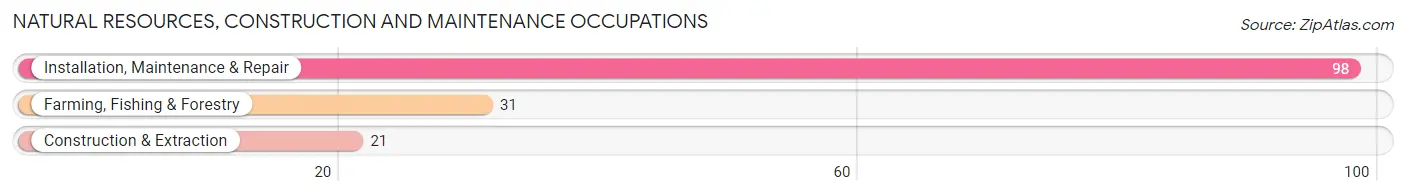 Natural Resources, Construction and Maintenance Occupations in Zip Code 49060