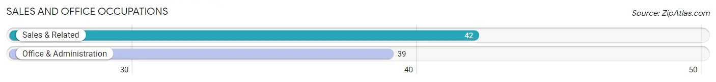 Sales and Office Occupations in Zip Code 49060