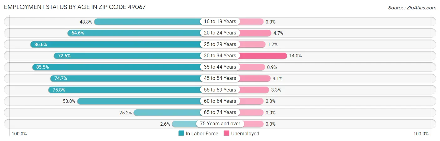 Employment Status by Age in Zip Code 49067