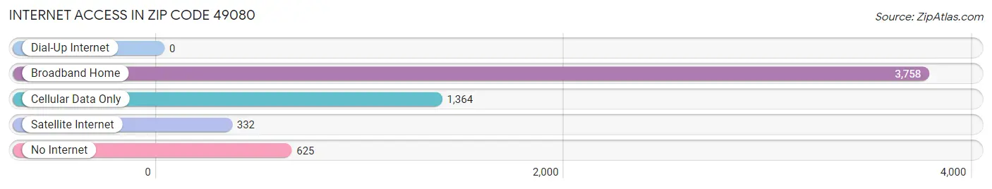 Internet Access in Zip Code 49080